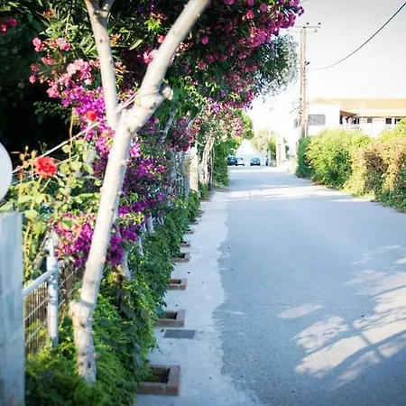 Koula's * Vasilika (Evia)