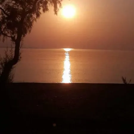 Koula's * Vasilika (Evia)